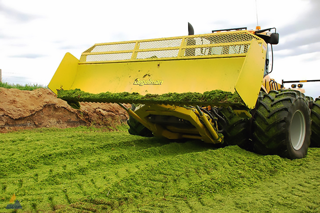 ОТВАЛ ПЛУЖНЫЙ БУЛЬДОЗЕРНЫЙ / DEGELMAN / 7900 Degelman-Dozer-Blade-7900-88-Challenger-900+.jpg