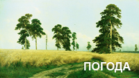 Wether_Shishkin_01_200_113.jpg